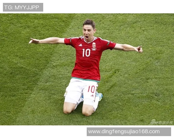 匈牙利足球球星风采全景解析及历史贡献详解