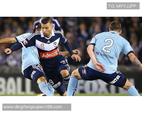 墨尔本足球球星的辉煌历程与他们在绿茵场上的非凡时刻