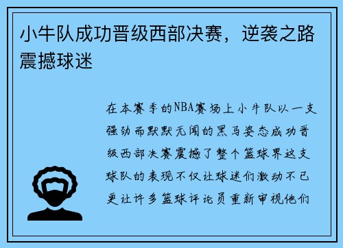 小牛队成功晋级西部决赛，逆袭之路震撼球迷
